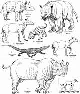 Eocene Mammals Prehistoric Monats Oktober Extinct Primaklima Nps Clarno sketch template