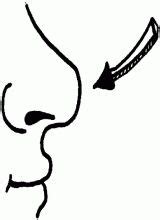 nose coloring page coloring pages body colour color