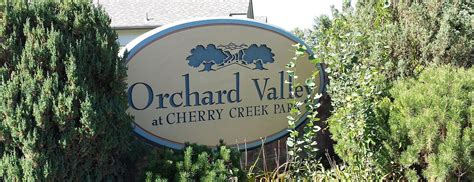 orchard valley drews home team