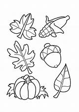 Leaves Coloring Acorns Pages Leaf Parentune Sheets Printable Print Child sketch template