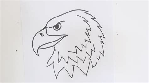 draw  eagle head step  step easy video tutorial