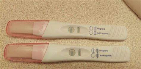 Pregnancy Confirmation Test Two Ways To Test And Confirm