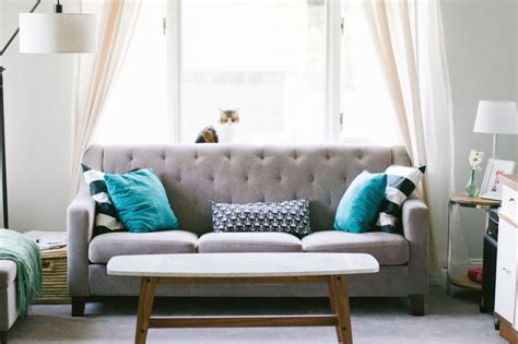 como escolher  melhor sofa   sala veja dicas de estilo