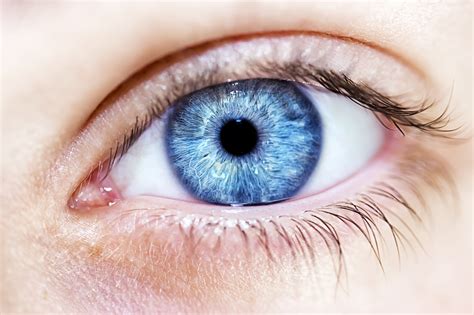 blue eyed people share  common ancestor