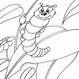 Chenille Caterpillar Coloriage Animaux Coloriages Pratique sketch template