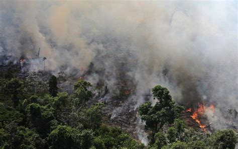 amazon burning brazil reports record forest fires world news news  indian express