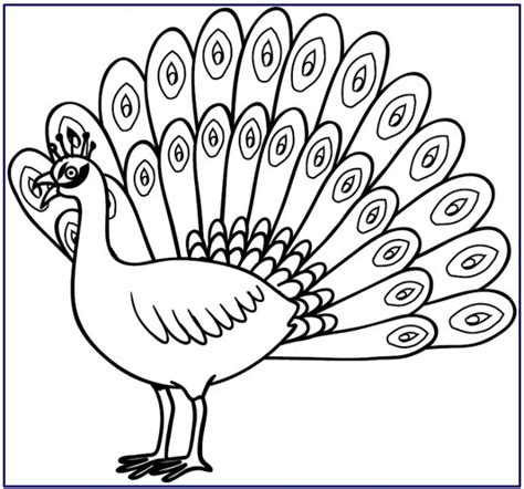 Sketsa Gambar Burung Merak Chilangomadrid Com