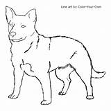 Dog Coloring Cattle Australian Pages Heeler Blue Line Color Drawings Own Kids Standing Designlooter Sketch Aussie Template 48kb 500px sketch template