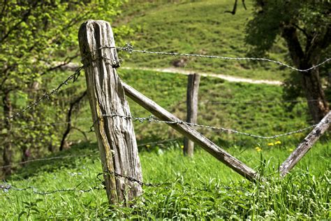 Free Images Tree Forest Grass Branch Barbed Wire Post Lawn