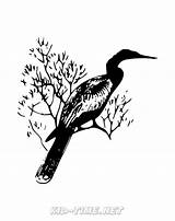 Clip Anhinga Vector Birds Coloring Animals Book Tree Bird Pages Svg Back Clker sketch template