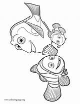 Dory Nemo Marlin Findet Dorie Ausmalen Malvorlagen Hank Ausmalbilder Fische sketch template