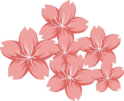cherry blossom  sakura  cartoon style isolated  vector art
