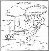 Water Cycle Diagram Worksheets Coloring 99worksheets Grade Lifecycle sketch template