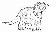 Coloring Pages Extinct Pachyrhinosaurus Animals Dinosaur Dinosaurs Fat Printable Getdrawings Choose Board Prehistoric sketch template