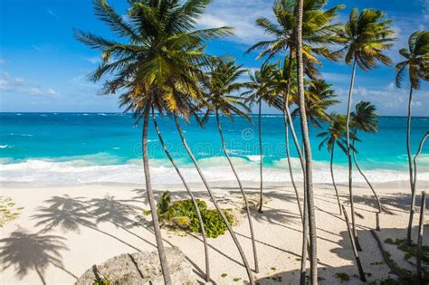 Bottom Bay Tropical Beach In Barbados Stock Image Image Of Scenery