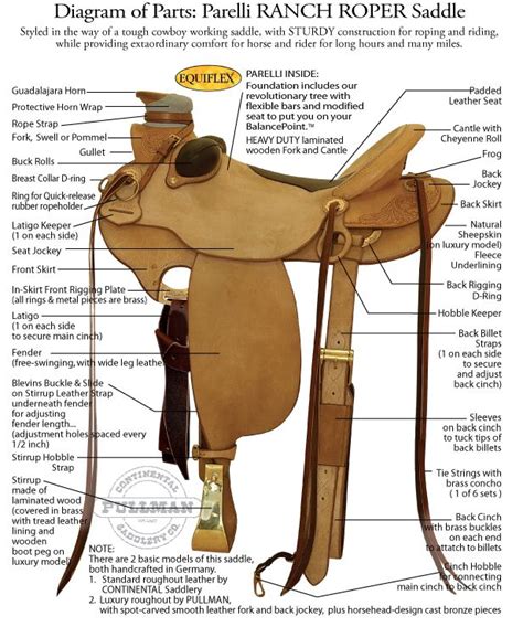 diagram  western saddle parts saddles bridles tack pinterest