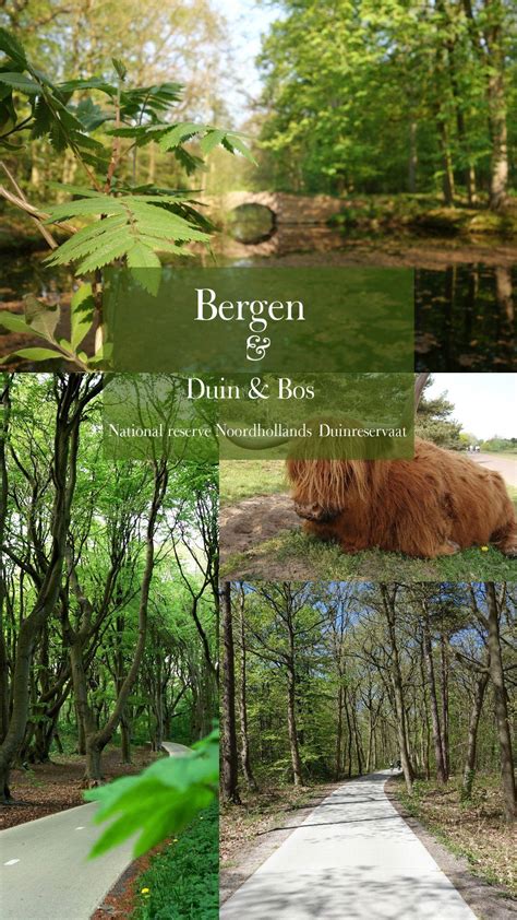 bergen convinced     wrong   netherlands  greenpick bergen