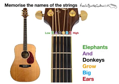 photo guitar strings acoustic guitar instrument