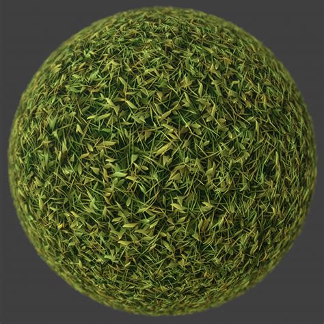 leafy grass  pbr material  texture