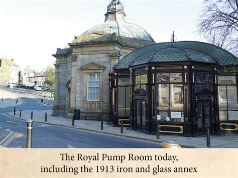 royal pump room  stray ferret