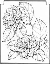 Coloring Pages Flowers Book Flower Adult Sheets Dover Adults Para Drawing Language Dibujos Printable Engraving Laser Publications Colouring Drawings Floral sketch template