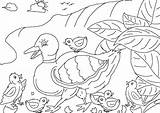Feo Patito Duckling Pintar Pato Patitos Mamá sketch template