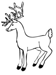 reindeer  antlers bw reindeer christmas coloring pages