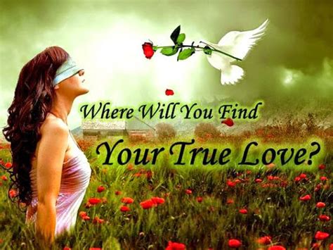 find  true love valentine special edition  virily