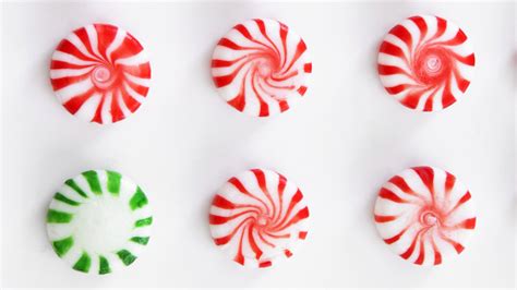 peppermint tricks   feeling deliciously cold  salt npr