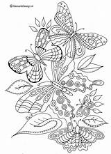 Volwassenen Vlinder Vlinders Bloemen Mandala Dieren Uitprinten Tekeningen Tekening Detailed Kolorowanki Downloaden sketch template