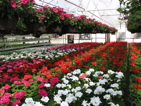 floriculture nets india agriculture net manufacturer  exporter