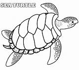 Turtle Sea Coloring Pages Loggerhead Drawing Shell Realistic Printable Color Leatherback Green Cute Turtles Snapping Hawaiian Kids Printables Getdrawings Getcolorings sketch template