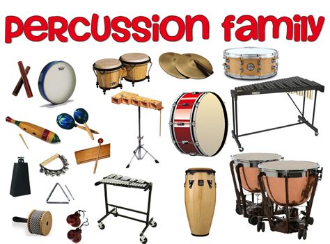 musical instruments   families series  percussion family