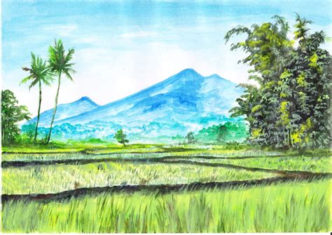 Lukisan Pemandangan Sawah Padi Simple Pemandangan Sawah Easy Drawings