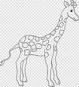 Giraffe Animal Hiclipart sketch template