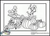 Citrouille Objets Coloriage Printablefreecoloring Coloriages sketch template