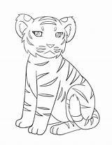 Coloring Pages Tiger Easy Drawings Tigers Kids Drawing Baby Outline Cute Choose Board sketch template