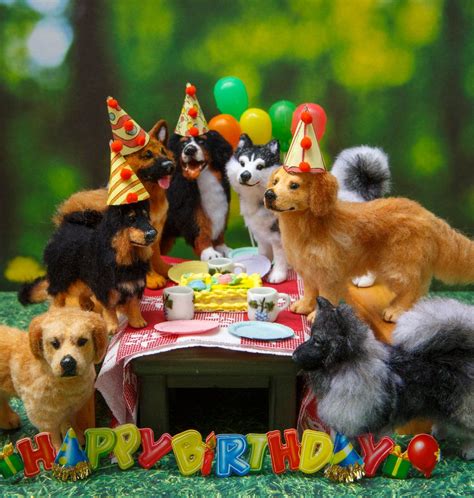 related image animal birthday birthday wishes funny cute animal