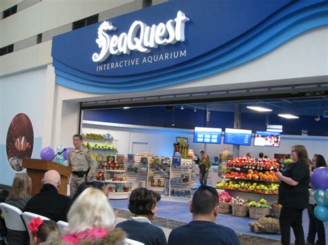 seaquest aquarium opens  boulevard mall las vegas review journal