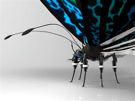 images  insects drones  pinterest political  technology  robotics