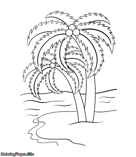ideas  coloring  palm tree coloring pages