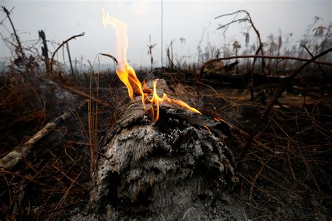 show  sheer devastation   amazon fires