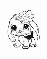 Coloring Pages Pet Littlest Shop Puppy Baby Dog Lps Cute Bunny Printable Fluffy Chihuahua Puppies Dogs Cat Little Drawing Print sketch template
