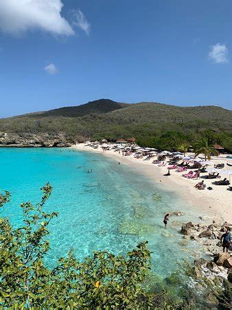 grote knip curacao            tripadvisor