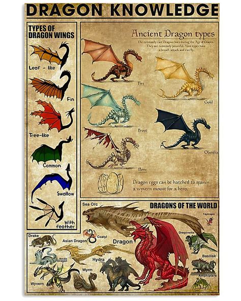 dragon knowledge chart   fantasy creatures art dragon artwork