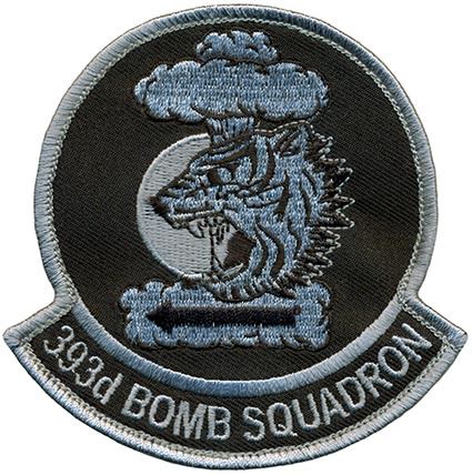 bomb squadron black flightline insignia
