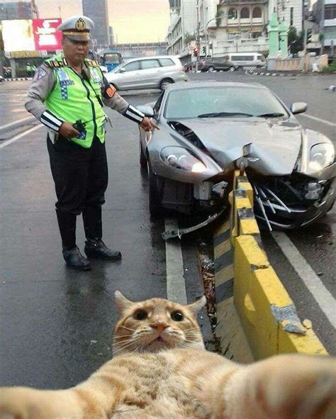 Asshole Taking Selfie At Accident Scene Catsareassholes