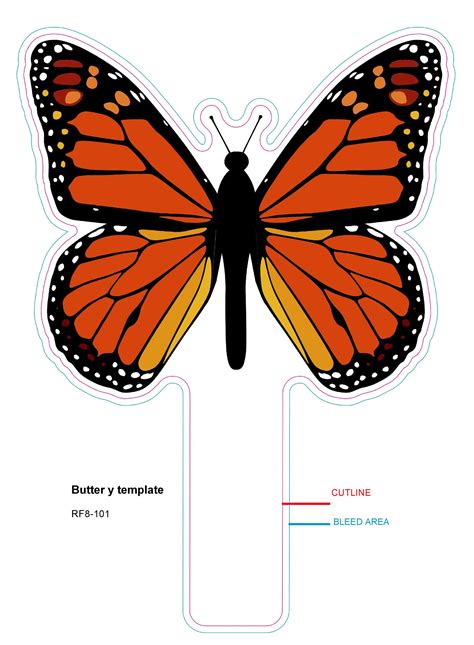 printable butterfly outline june  december