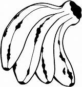 Banana Coloring Pages Bunch Kid Bananas Netart Clipartmag sketch template