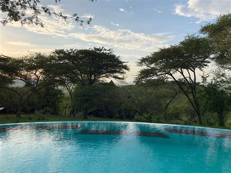 serengeti serena safari lodge pool pictures reviews tripadvisor